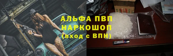 ПСИЛОЦИБИНОВЫЕ ГРИБЫ Няндома