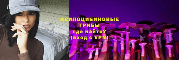 молекула духа Нязепетровск