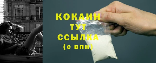 ПСИЛОЦИБИНОВЫЕ ГРИБЫ Няндома