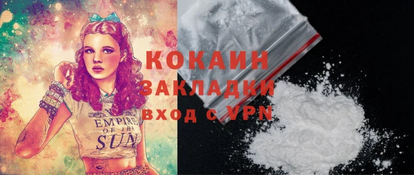 ПСИЛОЦИБИНОВЫЕ ГРИБЫ Няндома