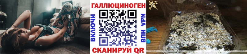 Псилоцибиновые грибы GOLDEN TEACHER Абакан