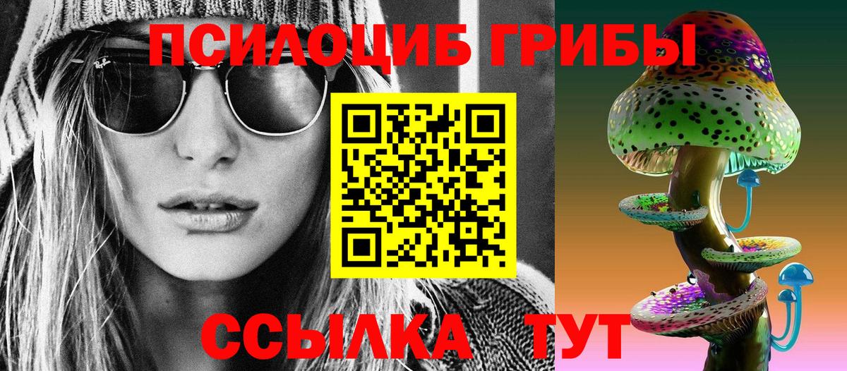 Псилоцибиновые грибы GOLDEN TEACHER Абакан