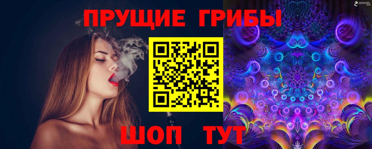 Абакан  Псилоцибиновые грибы прущие грибы  Вход с VPN 